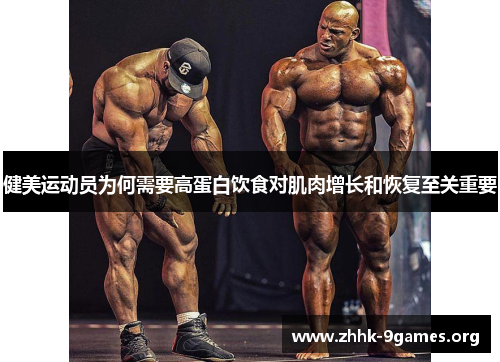 健美运动员为何需要高蛋白饮食对肌肉增长和恢复至关重要