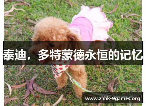 泰迪,多特蒙德永恒的记忆 泰迪,多特蒙德永恒的记忆