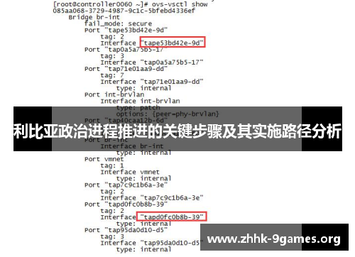 利比亚政治进程推进的关键步骤及其实施路径分析